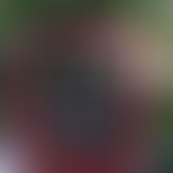 EN CATEO, FGR ASEGURA ARTEFACTOS EXPLOSIVOS Y SUSTANCIAS PARA SU ELABORACIÓN, EN COYUTLA, VERACRUZ