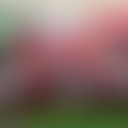 Realizan en Zentla el primer foro Una mano al café veracruzano