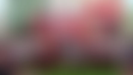 Realizan en Zentla el primer foro Una mano al café veracruzano