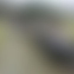 VISITA GUIADA FORTALECE LA CERCANÍA ENTRE EL EJÉRCITO Y LA NIÑEZ TUXPEÑA