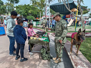Ejército Mexicano Estrecha Lazos con la Comunidad en Pueblo Viejo, Veracruz, a Través de Exposición Militar