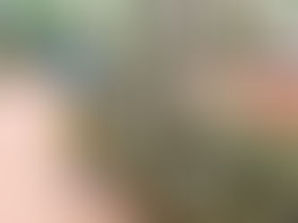 EJÉRCITO MEXICANO REALIZA EXPOSICIÓN MILITAR EN PUEBLO VIEJO, VERACRUZ PARA FORTALECER VÍNCULOS CON LA POBLACIÓN 