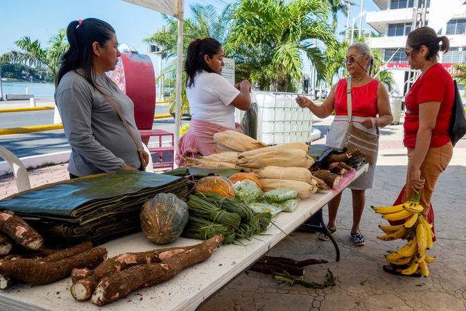 Venga a adquirir productos frescos del campo, a muy buenos precios, en el Mercadito Solidario instalado en la Plaza Cívica