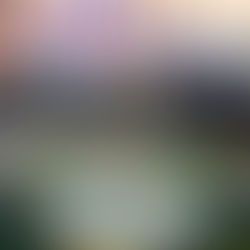 Riqueza cultural de Veracruz, herencia invaluable: diputado Esteban Bautista