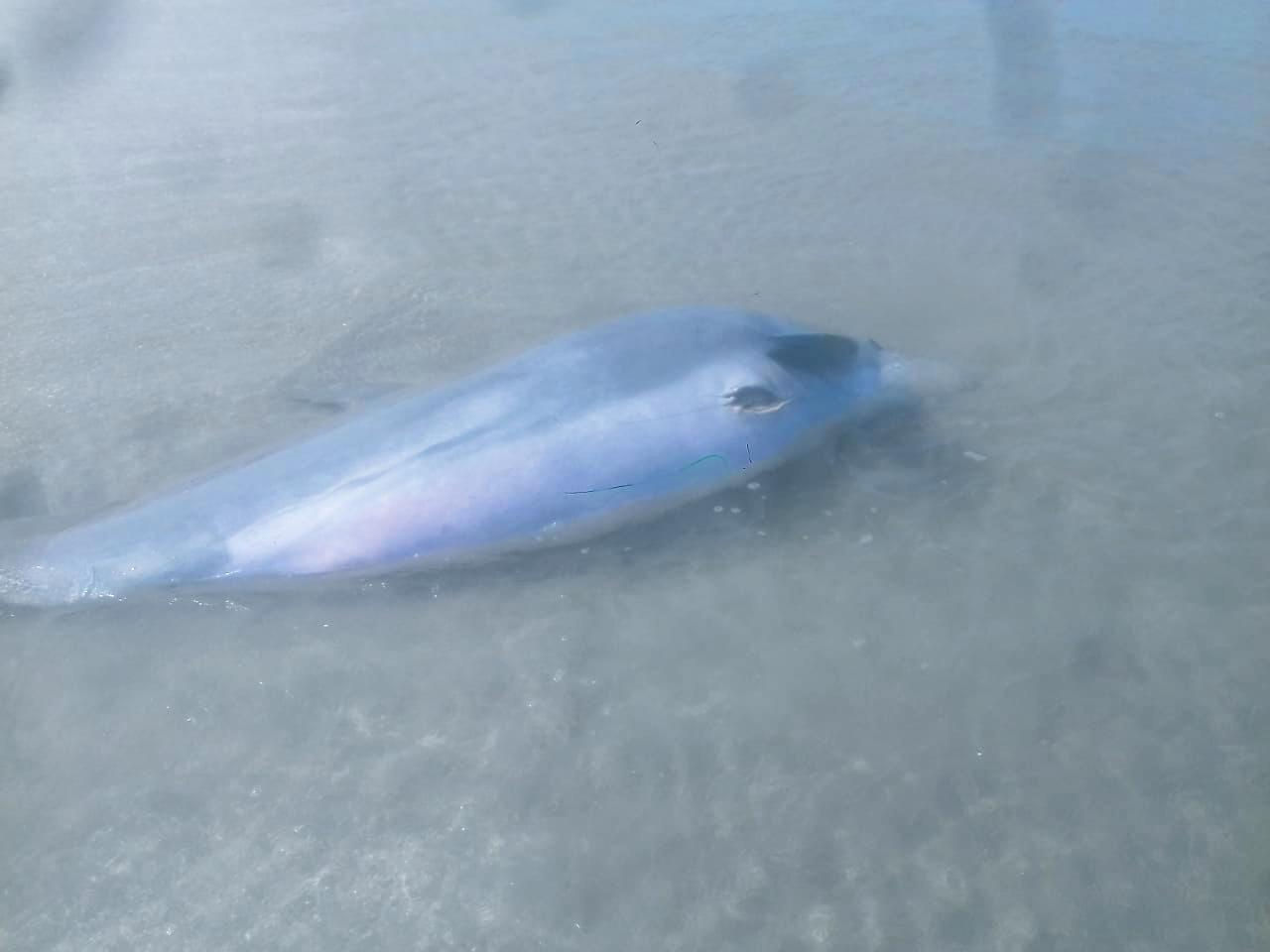 IMG-20190909-WA0022