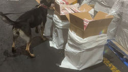 Personal naval aseguró más de 88 toneladas de cigarrillos de procedencia ilícita en el Aeropuerto Internacional de la Ciudad de México