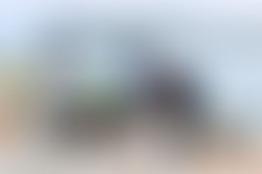 Gobierno municipal realiza jornada de limpieza a orillas del río Tuxpan