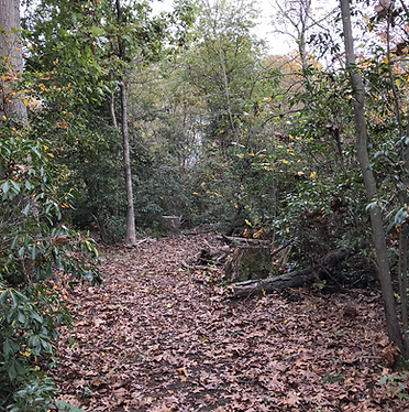 Lodge Groves Property.png