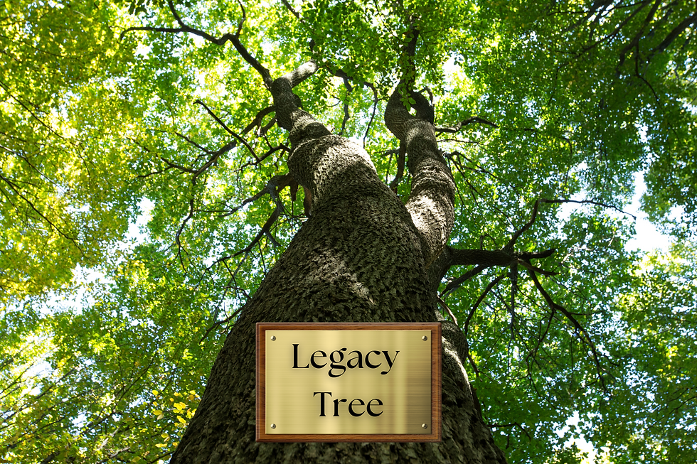 Legacy Tree Donation Picture.png