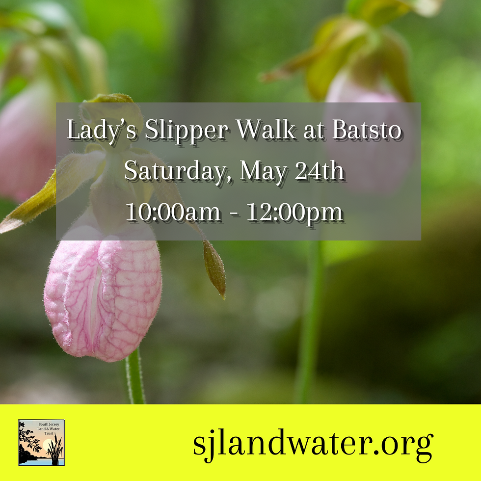 Lady's Slipper Walk