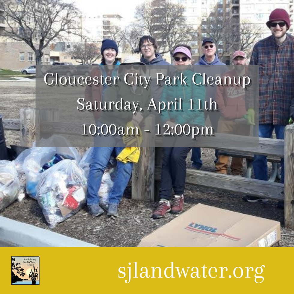 Gloucester City Park Cleanup