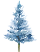 08.png