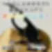 photo-output-52-300x300.webp