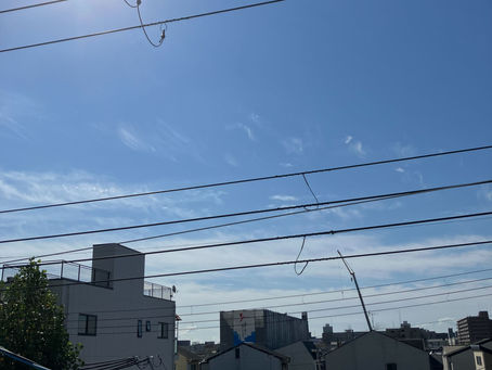 過ごしやすい季節になってきました