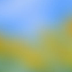 名称変更をしました!