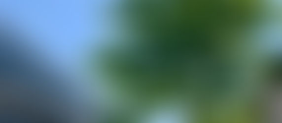 梅雨は何処へ