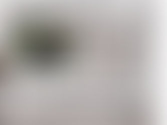 【2025年5月16日、2025年5月24日 朝日新聞掲載】耕作放棄地から生まれた“近江茶ジェノベーゼ”という挑戦