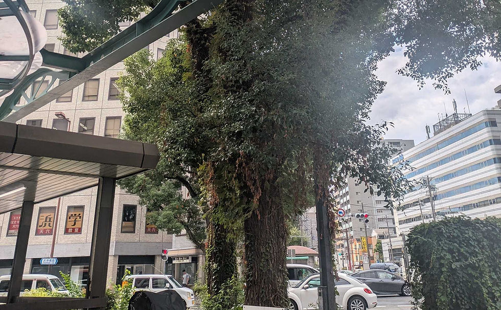 腹ヘリ減りハラ