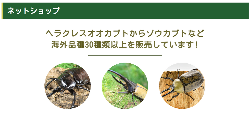 スクリーンショット 2025-10-21 160559.png