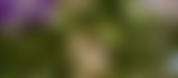 クリスマス・イブですね🎄