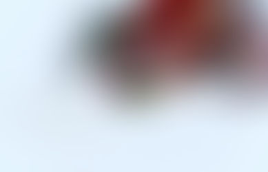 今年も残すところ「あと10日」