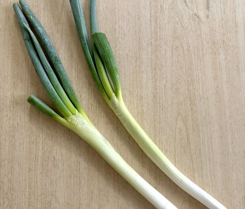 スーパーで役立つ「ネギの選び方」