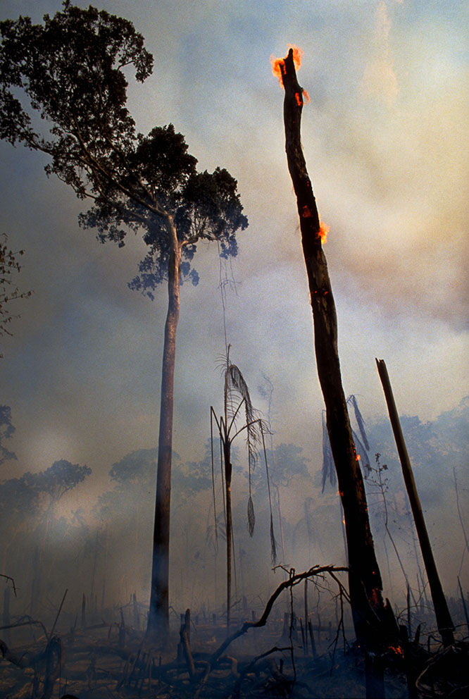 ©Marcos Santilli – 06