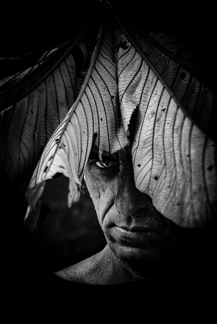TONY COHEN
