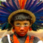 DAGOBERTO NOGUEIRA