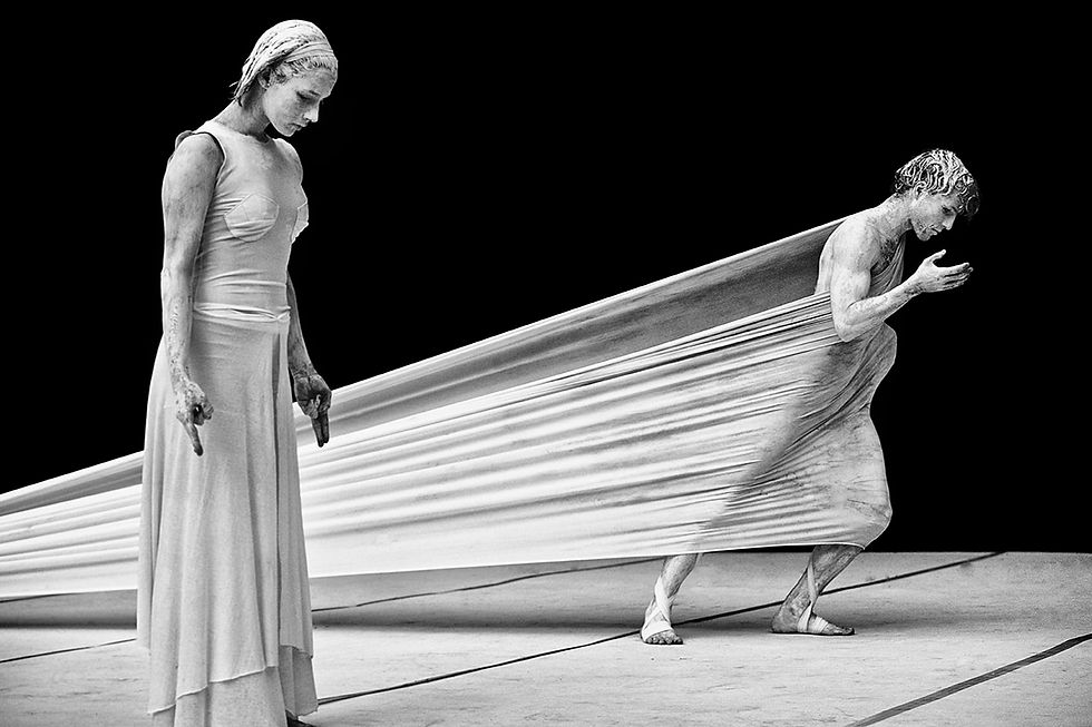 PERTRANSIÇÃO ©Roberto Soares-Gomes