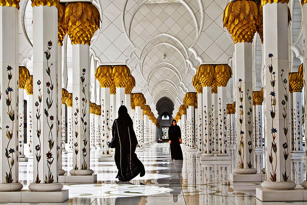 iccardo Busi - Emirati Arabi - Abu Dhabi - A grande Mosqueaea
