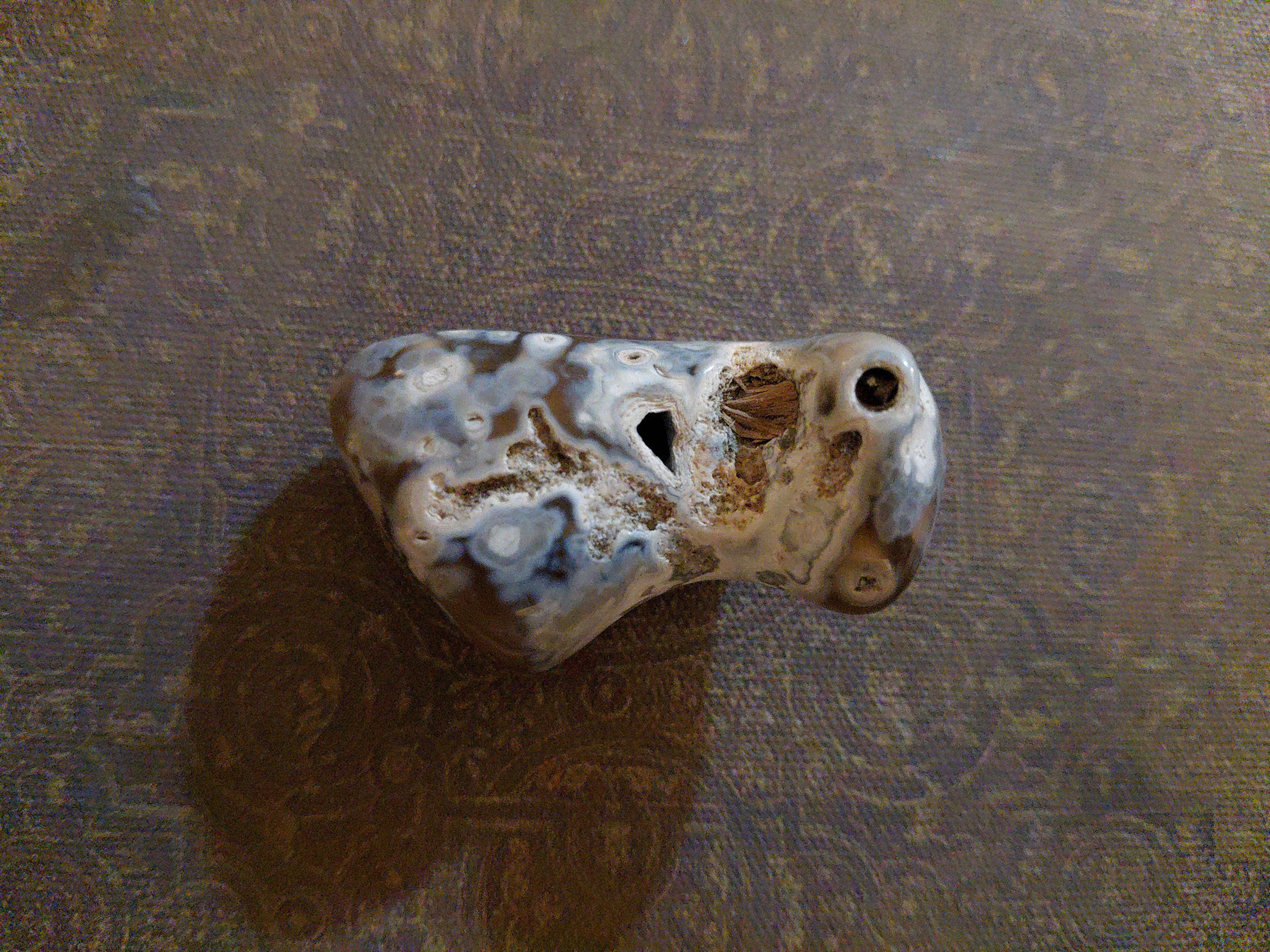 Polished Agatized Fossil Coral – Natural Prehistoric Specimen