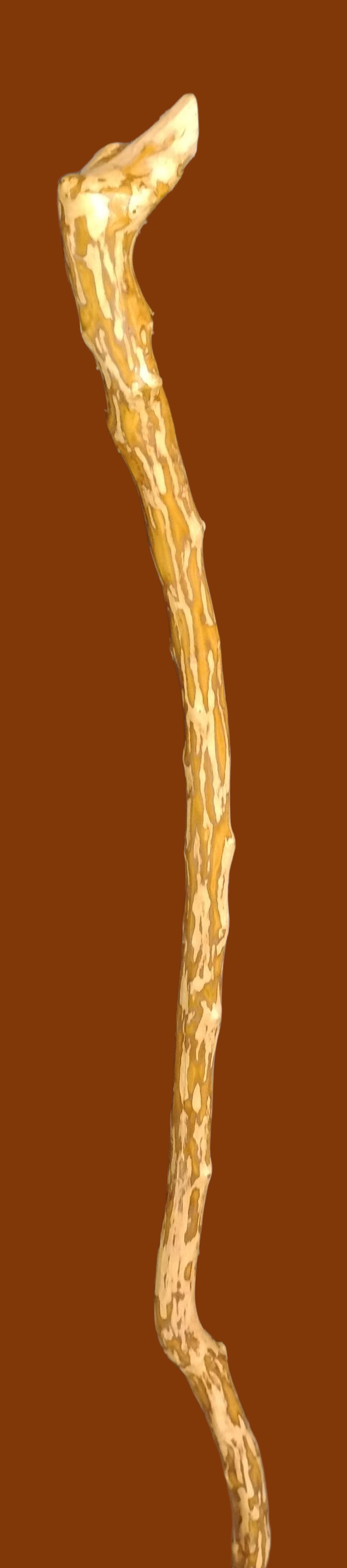 Hand-carved Natural Walking Cane-Textured Bark Finish
