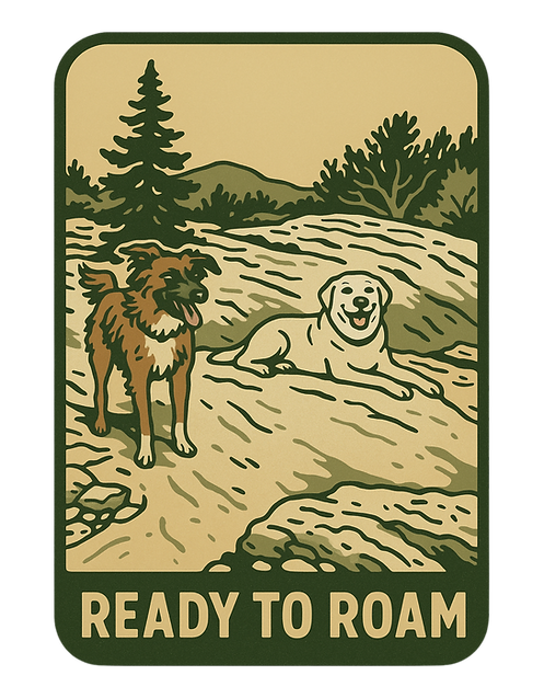 Adventure dogs resting on a rocky plateau in the desert of sourthern Utah