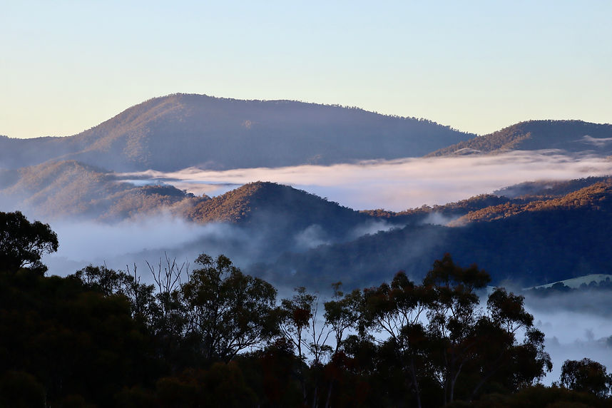 group accommodation mansfield