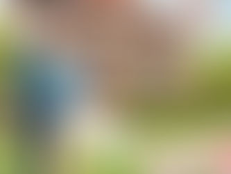 Planificación Financiera para Compras Grandes: Casa, Auto o Vacaciones