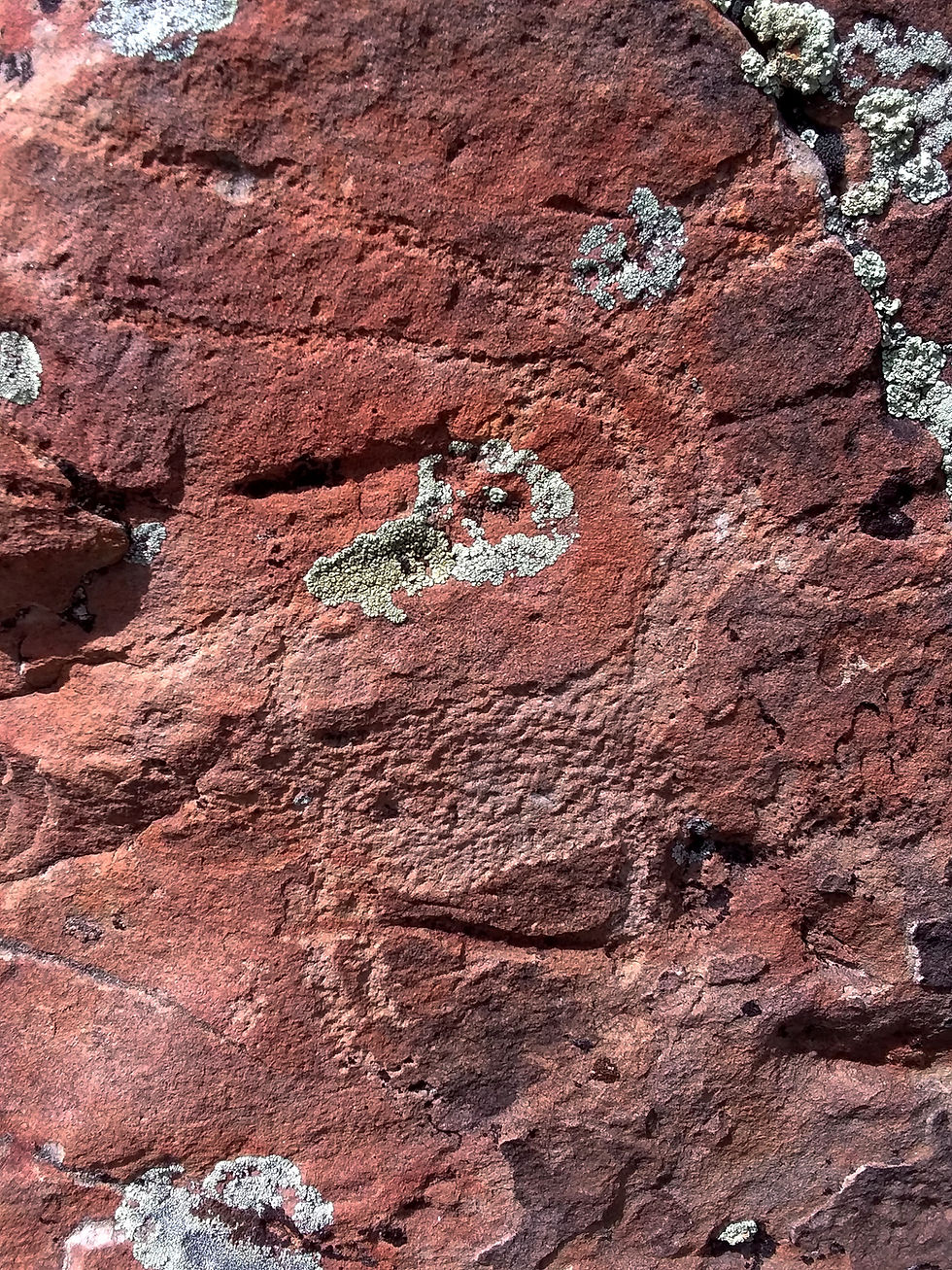 Native American Indian petroglyphs in Dubois, Wyoming