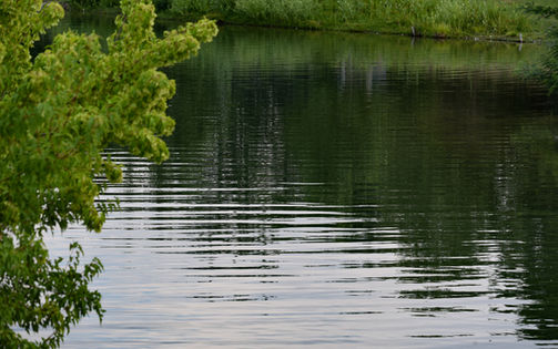 Esther Simplot Park in Boise, Idaho