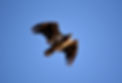 DSC_1628_edited.jpg