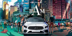 The Mercedes-Benz BAM Festival