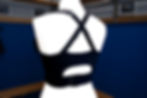 Thumbnail: Enduro Classic Sports Bra