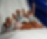 Springloaded_BanoraPoint_HiResSat31_edited_edited.png