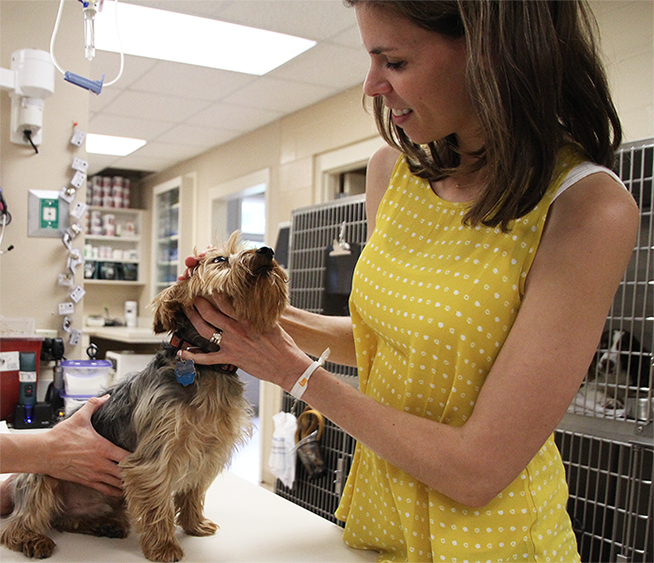 Auburn Veterinary Clinic Moores Mill Animal Hospital United States