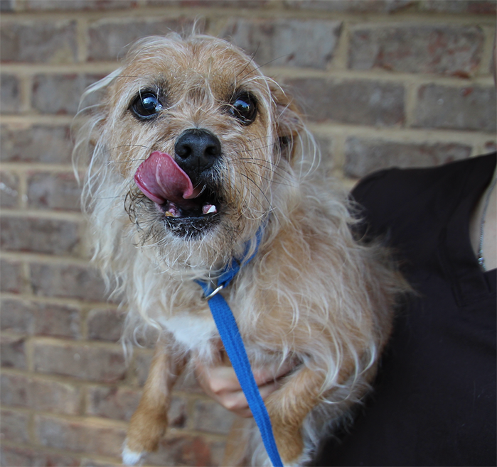 Auburn Veterinary Clinic Moores Mill Animal Hospital United States