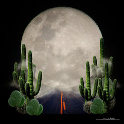 "Moonstruck"