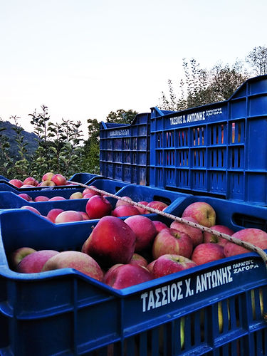 IMG_20181013_180029 (2).jpg