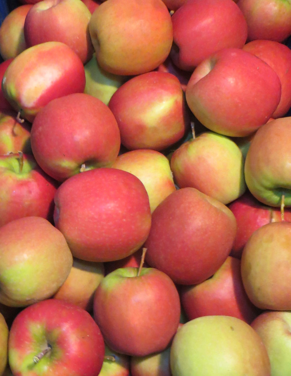 Μικρογραφία: Πιστοποιημένα Βιολογικά Ροζάκια Μήλα Ζαγοράς Πηλίου /Bio Pink Apples