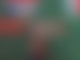 Verstappen consigue su octava victoria