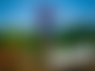 Jorge Prado vuelve al ataque