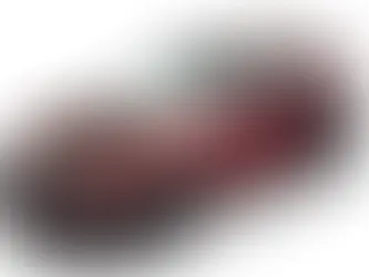 Mansory le pone su sello al Purosangue de Ferrari